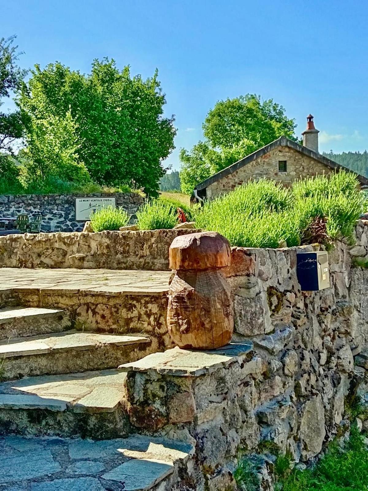 Gite De Groupe 160M2, 15P, Salle De Reception, Jardin, Terrasse Mazan-l'Abbaye Exterior foto